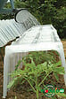 MODULO - Tunnel Modul'o 40 - Polypropylène - H.30xL.105xl.39cm - vignette