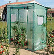 JANY FLORE - Serre tomate - Grand modèle - vignette