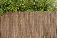 NORTENE - Clôture osier alterné - 1,50x3m - vignette