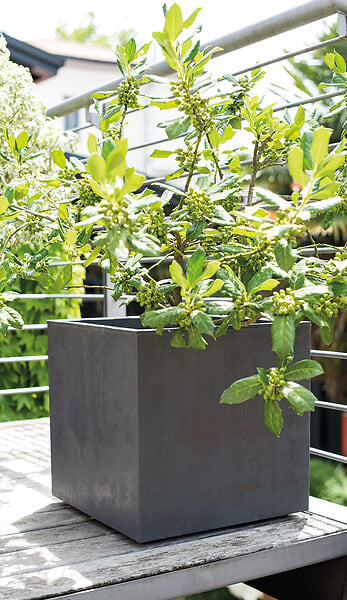 DEROMA - Cubo Millennium bac à réserve d'eau - Anthracite - 39cm - large