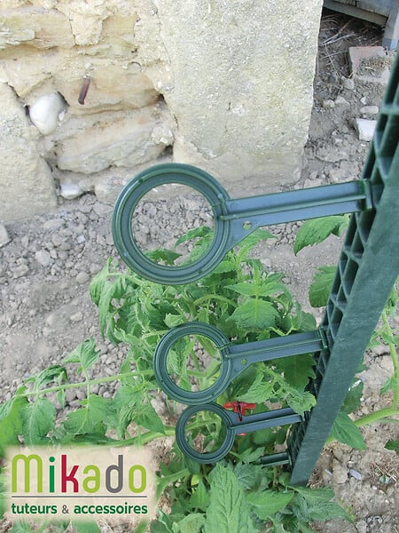 MIKADO - Sachet de 6 attaches tuteur - Vert - Jardin - large