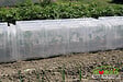 MODULO - Tunnel Modulo 40 - Lot de 3 - vignette