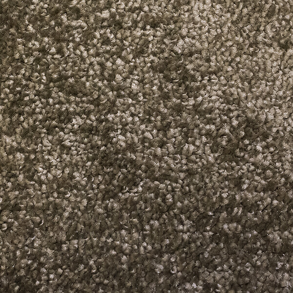 CORYL - Tapis intérieur absorbant - Marron - 60x40cm - large