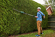 BOSCH - Taille-haies sur perche télescopique - 18V - 43cm lame - vignette