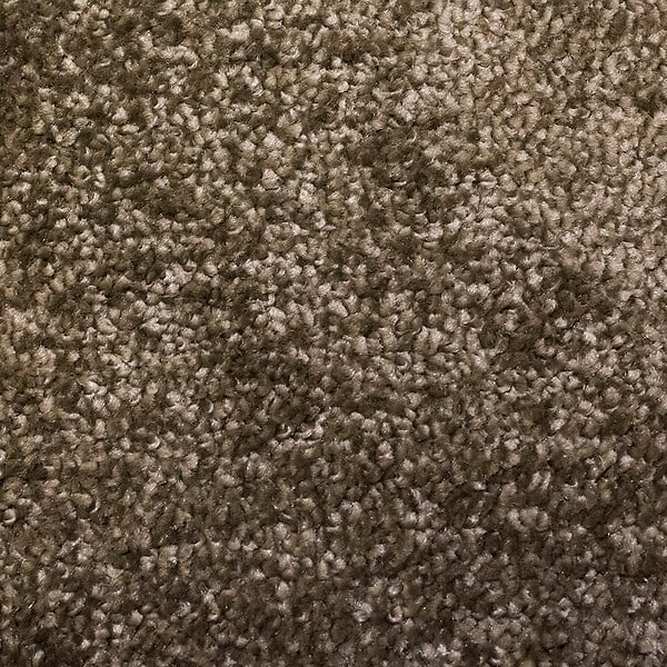 CORYL - Tapis interieur absorbant marron 80x60cm - large