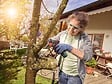 BOSCH - Scie multi-usage sans fil EasyCut 12 - 12V - 65mm - vignette