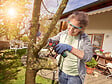 BOSCH - Scie à lame NanoBlade sans fil EasyCut 12 - 12V - 2.0 Ah - vignette