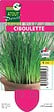 TAUGOURDEAU - Ciboulette en pot - 1L - Plante aromatique - vignette