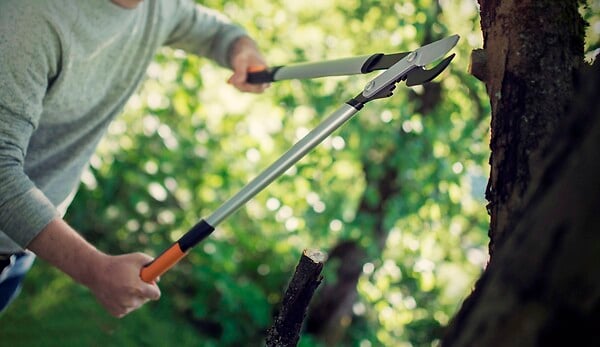 FISKARS - Coupe-branches crémaillère Lame franche PowerGearX L LX98 - large