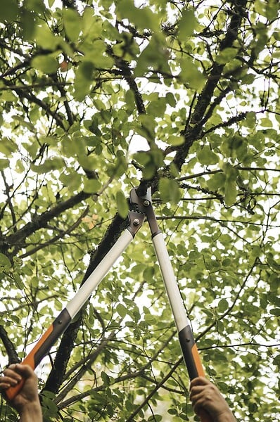 FISKARS - Coupe-branches crémaillère Lame franche PowerGearX L LX98 - large
