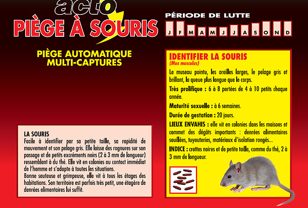 ACTO - Piège à souris automatique - large