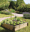 CERLAND - Carré potager 120x120x24cm - Pin autoclave classe 3 - 16 compartiments - vignette