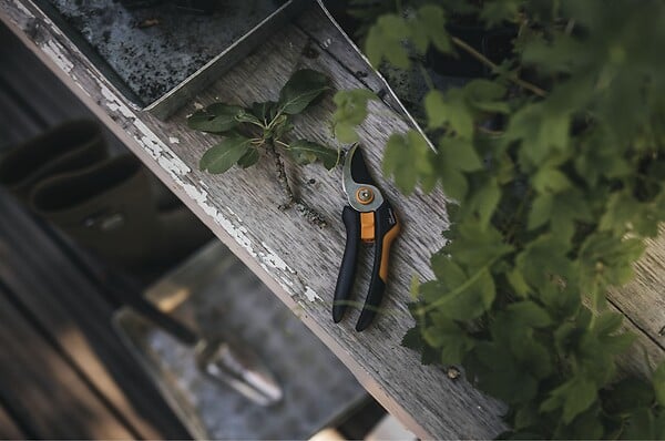FISKARS - Sécateur Solid P321m - large