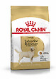 ROYAL CANIN - Croquettes chien LABRADOR ADULT 3kg - vignette