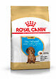 ROYAL CANIN - Croquettes chien TECKEL JUNIOR 1.5kg - vignette