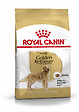 ROYAL CANIN - Croquettes chien GOLDEN RETRIEVER ADULT CHIEN PLUS DE 15 MOIS 3KG - vignette