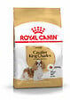 ROYAL CANIN - Croquettes chien CAVALIER KING CHARLES ADULT PLUS DE 10 MOIS 1.5KG - vignette