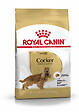 ROYAL CANIN - Croquettes chien COCKER ADULT CHIEN PLUS DE 12 MOIS 3KG - vignette