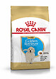 ROYAL CANIN - Croquettes chien BREED HEALTH NUTRITION GOLDEN JUNIOR 12KG - vignette