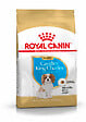 ROYAL CANIN - Croquettes chien CAVALIER KING CHARLES JUNIOR 1.5kg - vignette
