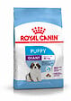 ROYAL CANIN - Croquettes chien PUPPY GIANT POUR CHIOT GEANT DE 2 A 8 MOIS 3.5KG - vignette