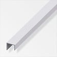 ALFER - Cimaise 20x22x15mm aluminium anodisé argent 1m - vignette