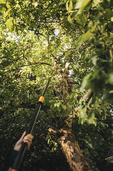 FISKARS - Coupe-branches télescopique - PowerGearx- Portée 6m - large