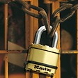 MASTER LOCK - 2 cadenas à clé en acier laminé 45mm anse octogonale d.8xh.24mm - vignette