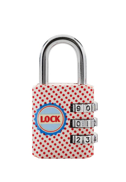 MASTER LOCK - Cadenas à combinaison programmable motif chrome 30mm anse d.5xh.22mm - large