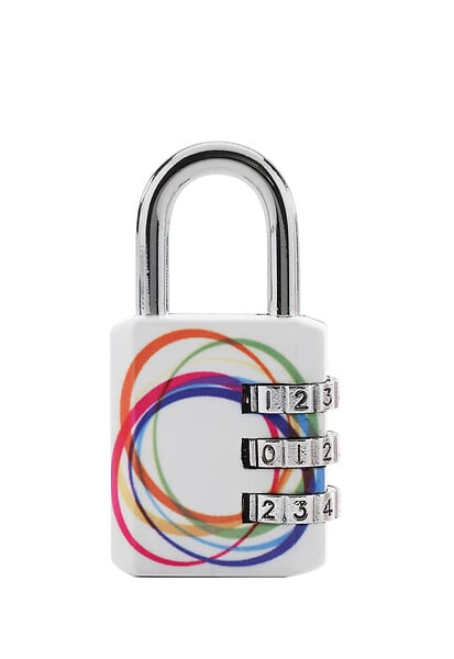 MASTER LOCK - Cadenas à combinaison programmable motif chrome 30mm anse d.5xh.22mm - large