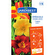 JARDIBEST - Hémérocalle hybride variée - 3 bulbes - vignette