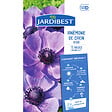 JARDIBEST - Anémone de caen bleue - 15 bulbes - vignette