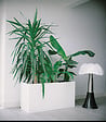 MULTICEL - Plaque PVC expansé blanc 3mm - L.100xl.50cm - vignette