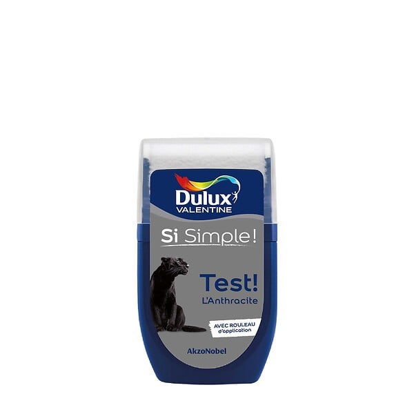 DULUX VALENTINE - Testeur peinture Si simple - L'Anthracite - 30ml - large