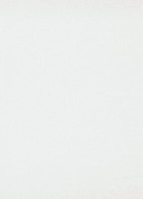 ERISMANN - Revêtement mural lisse intissé - Blanc - 1,06x25m - large