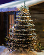KONSTSMIDE - Voile de sapin à LED - 240 LED ambrées scintillantes - 24 V - vignette