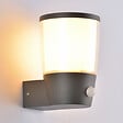 COREP - Appl ext-detect riviera anthracite - vignette