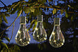 SMARTSOLAR - Ampoule solaire Eureka - Verre - Blanc chaud - 4 LED - vignette