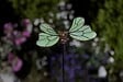 FLAMBOYA - Pics solaires phosphorescents - Lot assorti - 61cm - vignette
