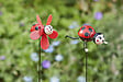 SMARTSOLAR - Pique loony coccinelle - vignette