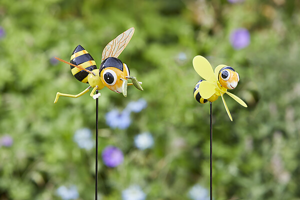 FLAMBOYA - Pic abeilles - large