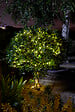 SMARTSOLAR - Guirlande solaire 50 LED - Cuivre - Blanc chaud - 6,9m - vignette