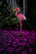 SMARTSOLAR - Flamant rose décoratif solaire en métal - H.76cm - vignette