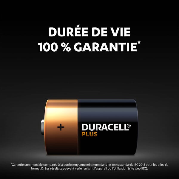DURACELL - Piles alcalines D x2 Duracell Plus, 1.5V LR20 - large