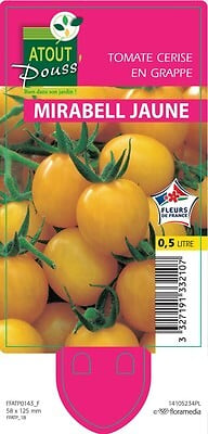 TAUGOURDEAU - Tomate cerise mirabell 0,5l - large