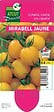 TAUGOURDEAU - Tomate cerise mirabell 0,5l - vignette