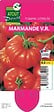TAUGOURDEAU - Plant de tomate Marmande - Pot 0,5 L - vignette