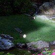 LUMI JARDIN - Spot solaire projecteur SPIKY Blanc froid 100LM - vignette