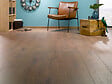 HOMEFLOR - Revêtement de sol stratifié 10mm CHENE LOUISIANE  ALSAFLOORING 1.55m2 - vignette