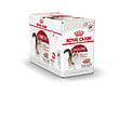 ROYAL CANIN - Aliment chat INSTINCTIVE MOUSSE 12X85G - vignette